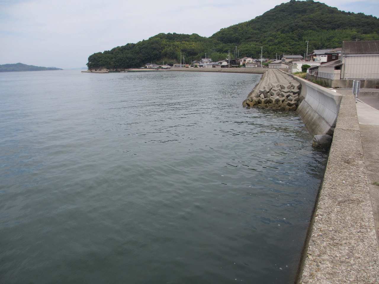 香川県,海釣り,ポイント,須田港